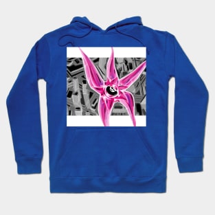 squid in pan dimensional art Hoodie